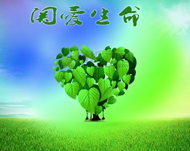 珍爱生命作文题目（有关生命的意义的题目）