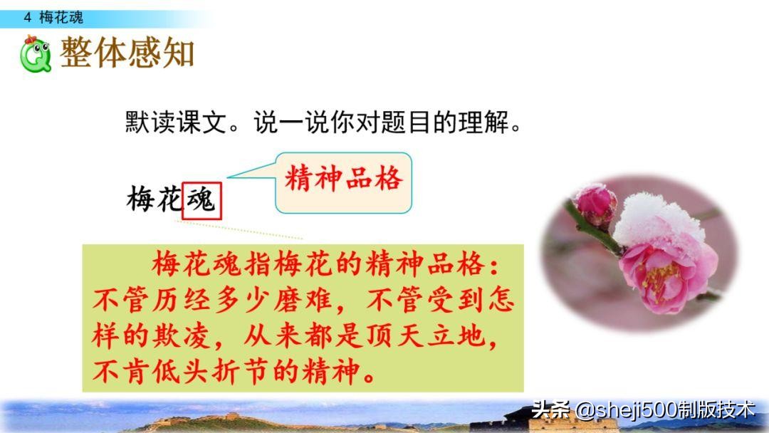 课文梅花魂指的是什么（梅花魂全文知识）