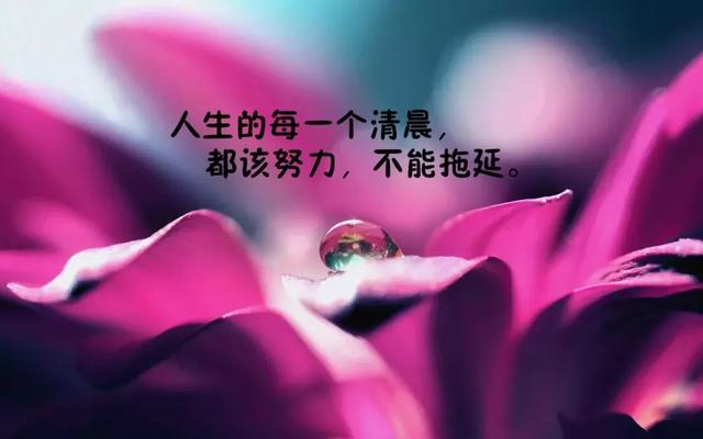 励志美文精选简短（激励人心的范文）