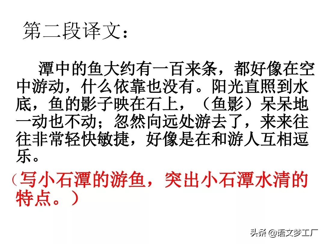 小石潭记表达了作者怎样的感情的句子（小石潭记全文解析）