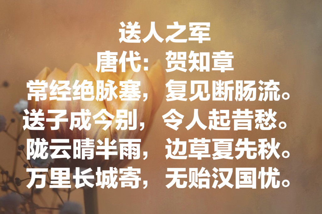 贺知章的古诗有哪些（8首短篇古诗词）