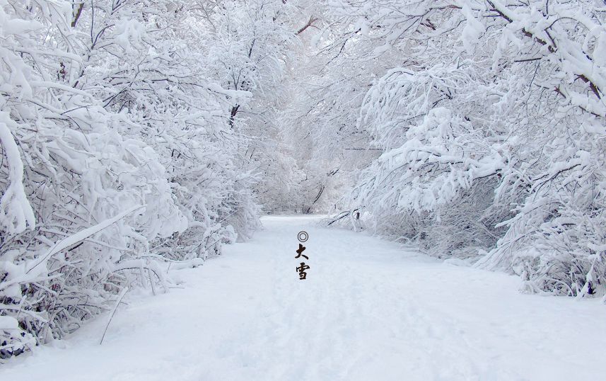 大雪节气诗词鉴赏（二十四节气大雪古诗）