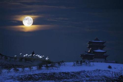 月夜古诗刘方平赏析（月夜古诗有怎么样的感情）
