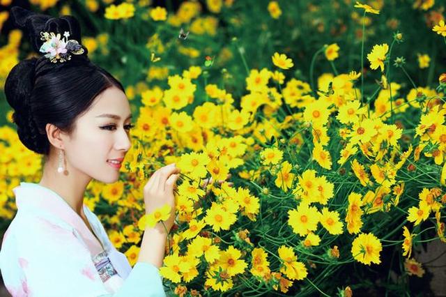 描写菊花的作文怎么写（菊花优秀作文赏析）