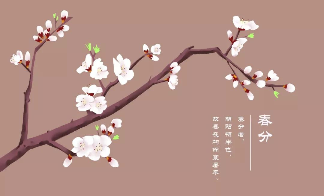 含有杏花的诗句有哪些（形容杏花的优美短句）