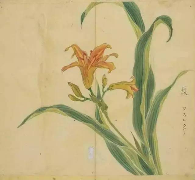 古诗词300首简短（欣赏古诗大全）