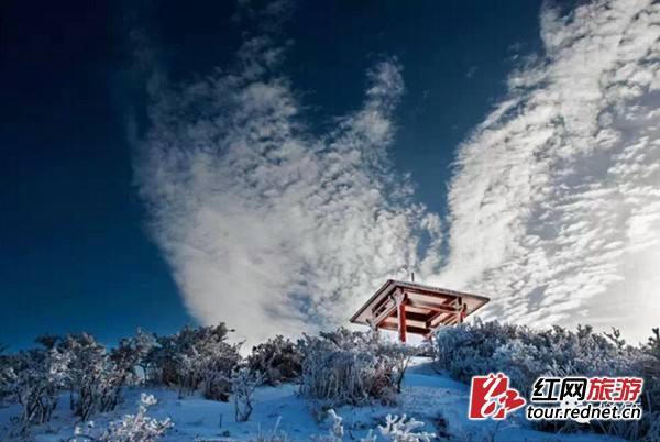 早行陈与义翻译赏析（早行的意思是什么）