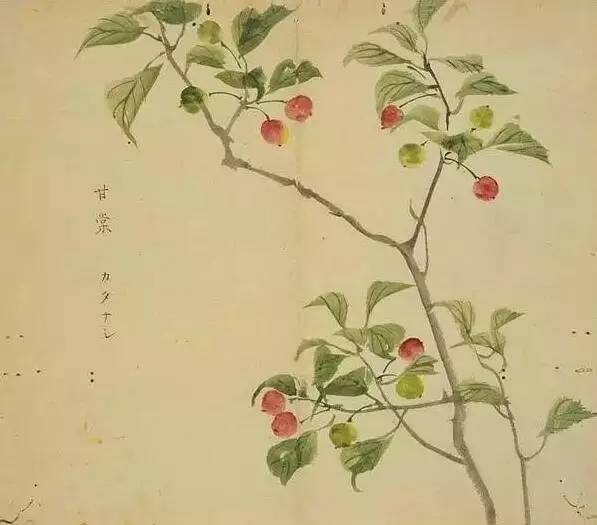 古诗词300首简短（欣赏古诗大全）