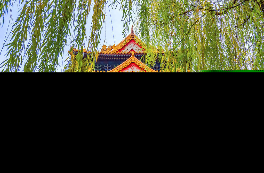 杨柳枝词古诗（杨柳枝全文翻译和注释）