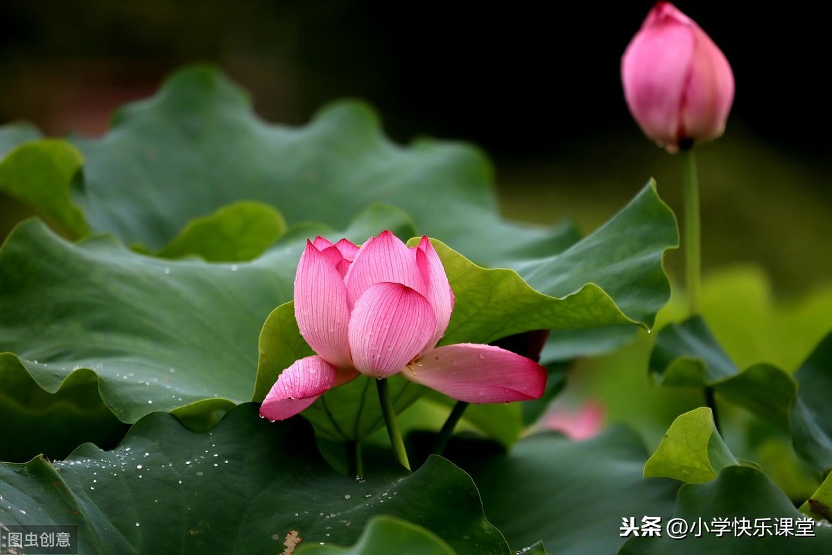 最令我感动的一件事作文（9篇优秀作文范文）