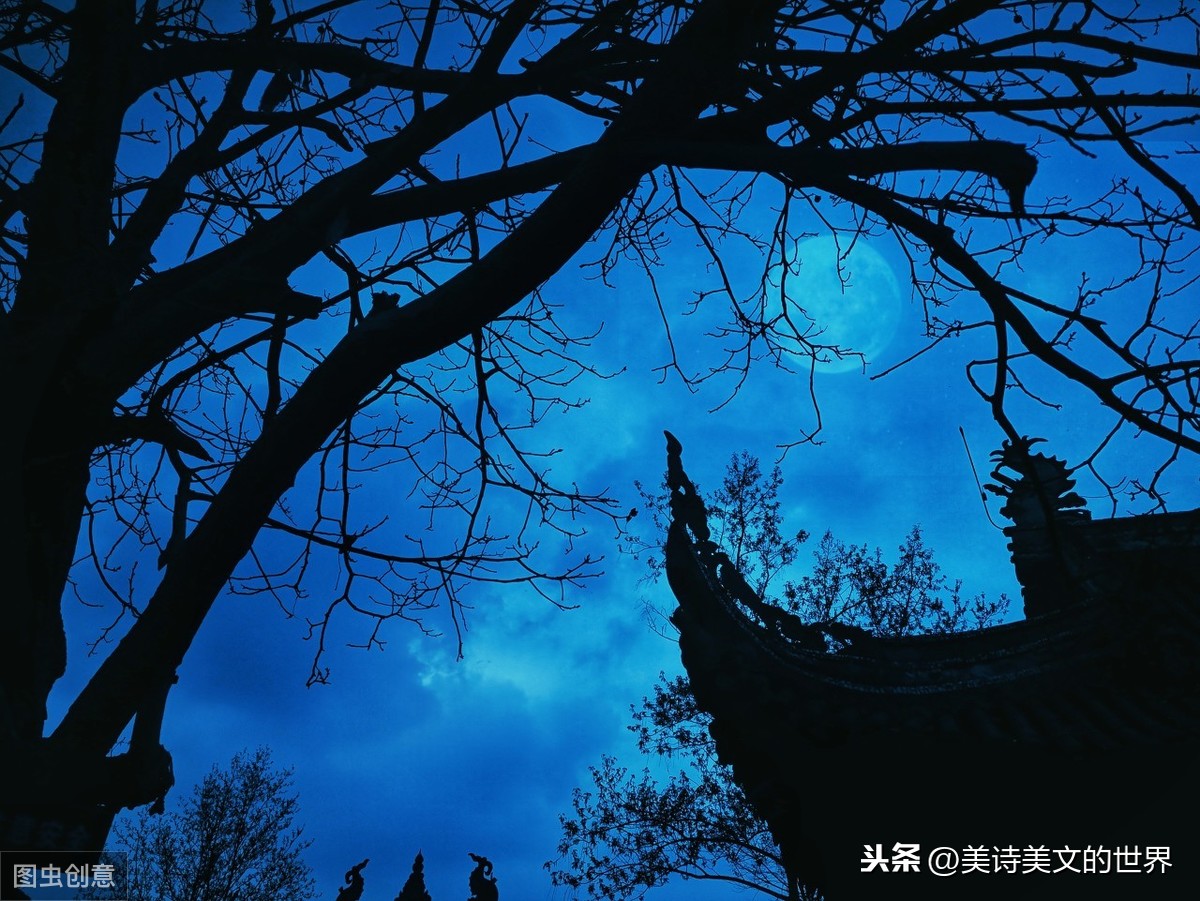 小学含草的诗句有哪些（描写草最著名的一首诗）