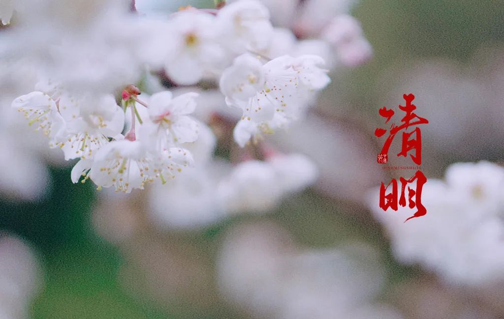 关于清明节的诗句古诗（清明祭奠的诗句）