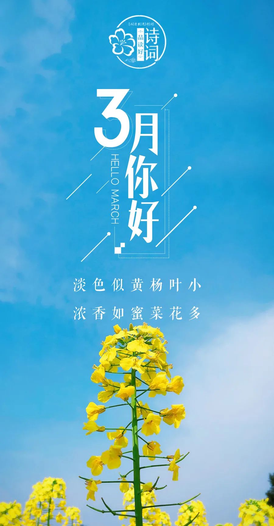 形容三月春光好的诗句（三月的诗词唯美描写）