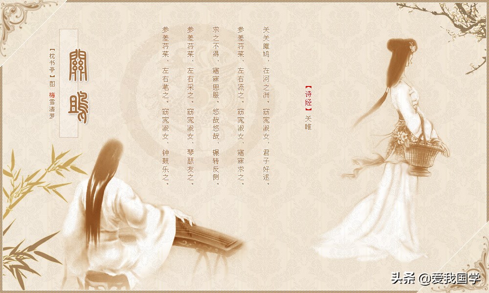 关雎原文及翻译注释赏析（诗经关雎原文及解释诗意）