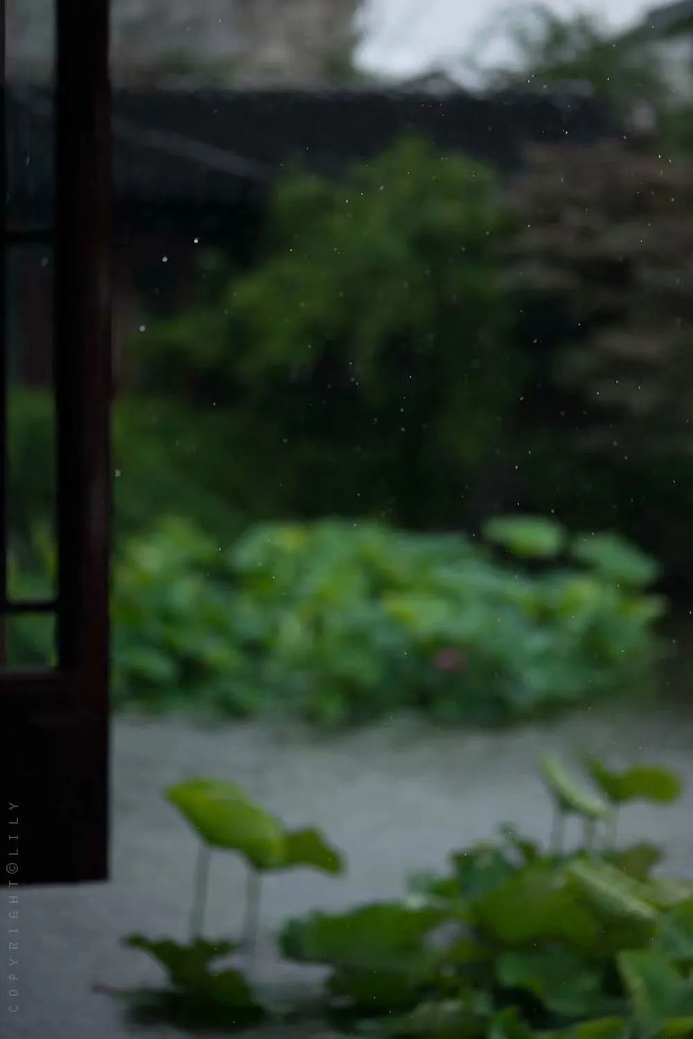 描写秋雨的文章有哪些（描写雨的优美文章）