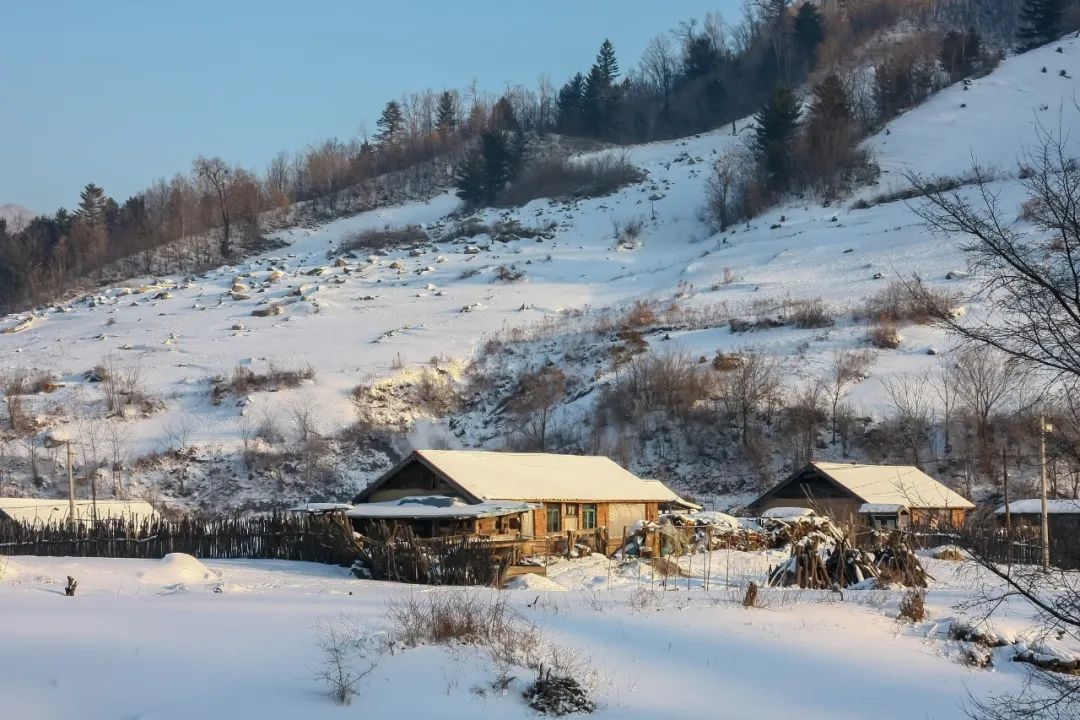 春天下雪的诗句唯美（赞美春天雪景的诗句）