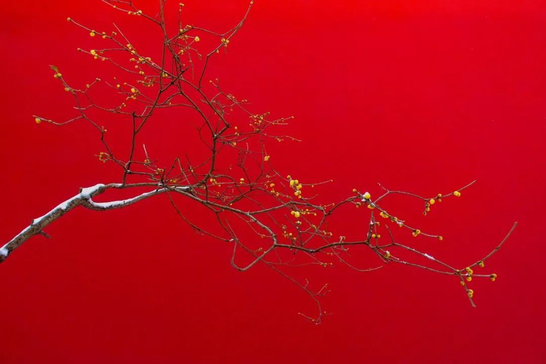 雪景的描写优美句子（雪景的描写优美句子）
