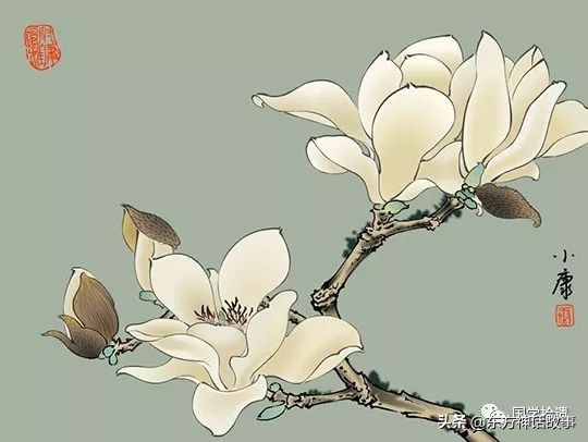 描写玉兰花的诗句有哪些（玉兰花的古诗大全）