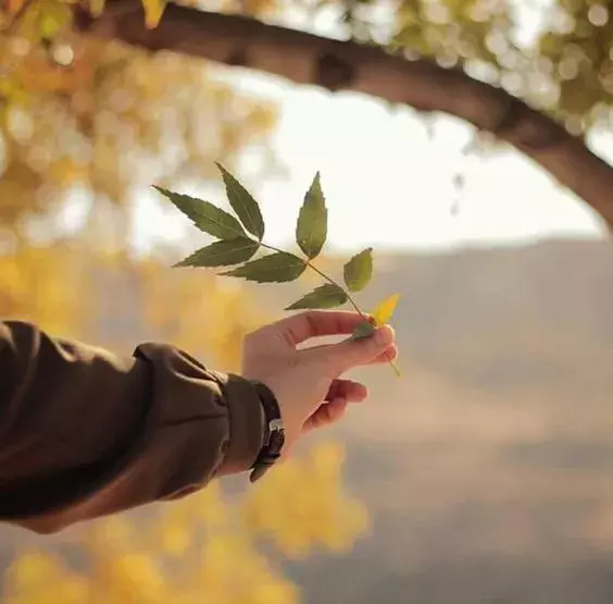 圣经金句必背洁净心灵的句子（《圣经》中的十句金句）