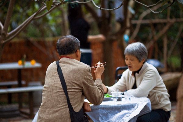 感人爱情文章摘抄（唯美浪漫的爱情的文章）