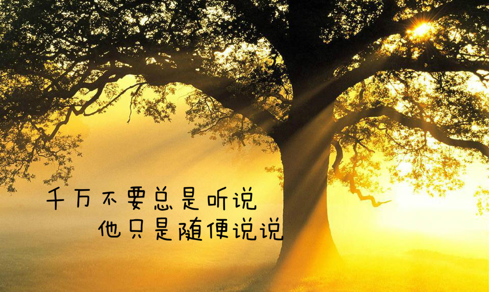 关于母爱的散文名篇（以母爱为主题的散文）