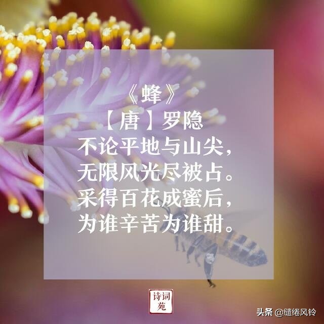 托物言志的诗有哪些（有关托物言志的10首名诗）