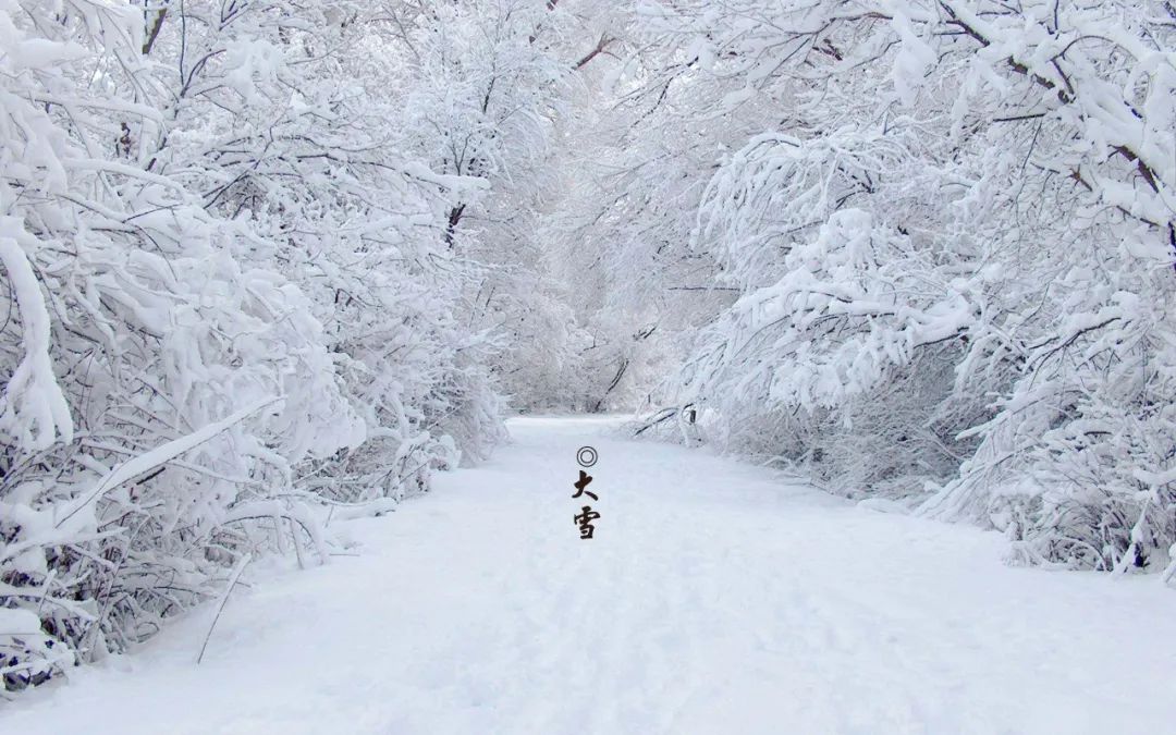 大雪节气诗词选（形容下雪好兆头的诗词）