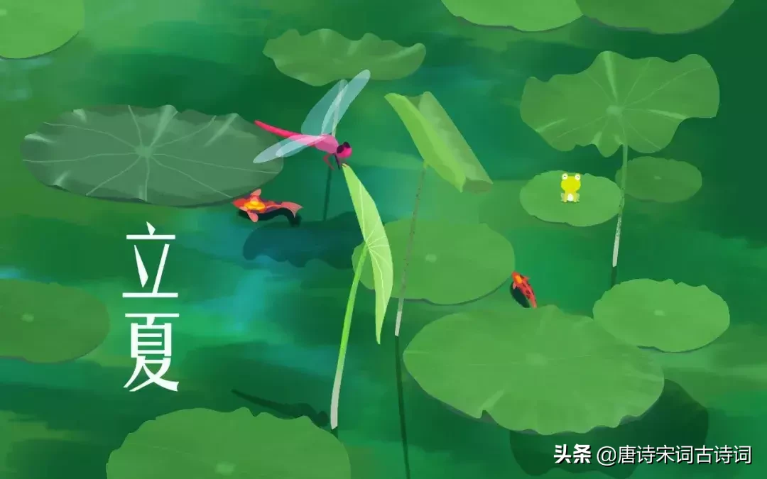 描写夏天的古诗词句（与夏天有关的古诗）