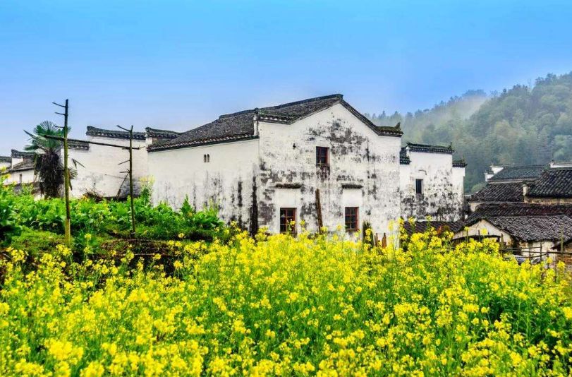 描写春景的古诗有哪些（15首春景古诗欣赏）