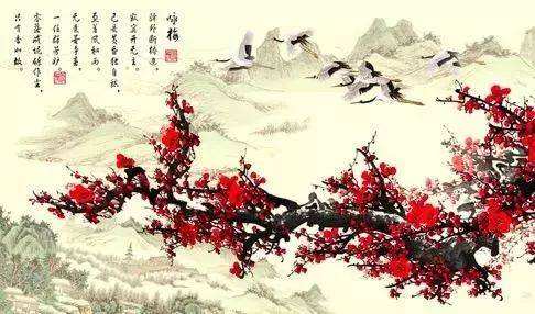 西江月梅花苏轼赏析（苏轼关于梅花的诗词鉴赏）