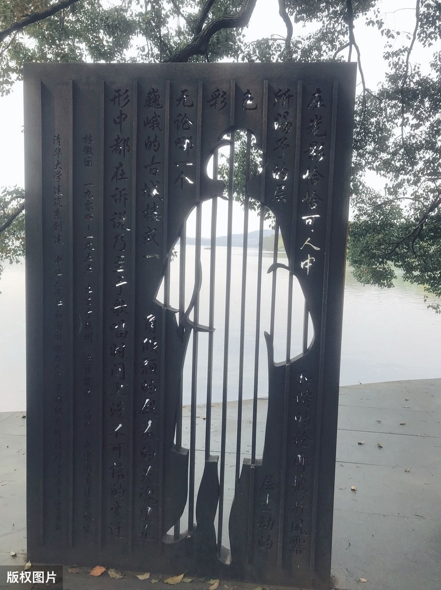 蝴蝶飞不过沧海徐志摩（你若盛开蝴蝶自来全诗）