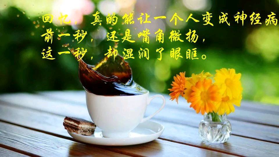 形容心里很温暖的句子（治愈系满满的正能量语录）