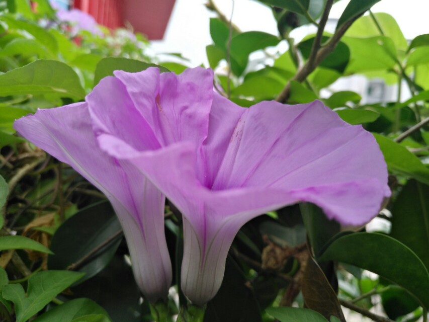 诗歌格式范文大全（现代诗的书写格式）