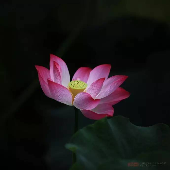 西子湖古诗（简述西子湖的名称由来的诗句）