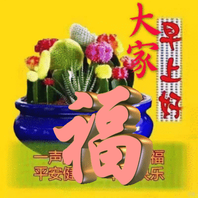 夏天早上问好的句子（唯美励志的早安语录）