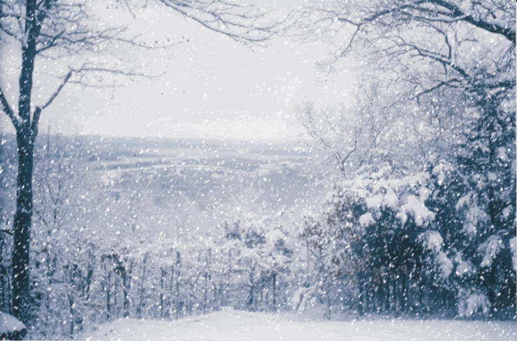 雪景的诗句古诗（描写冬天雪景的诗句）