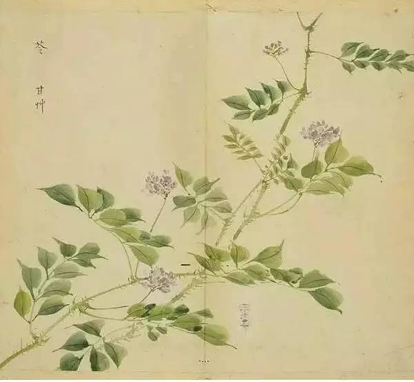 古诗词300首简短（欣赏古诗大全）