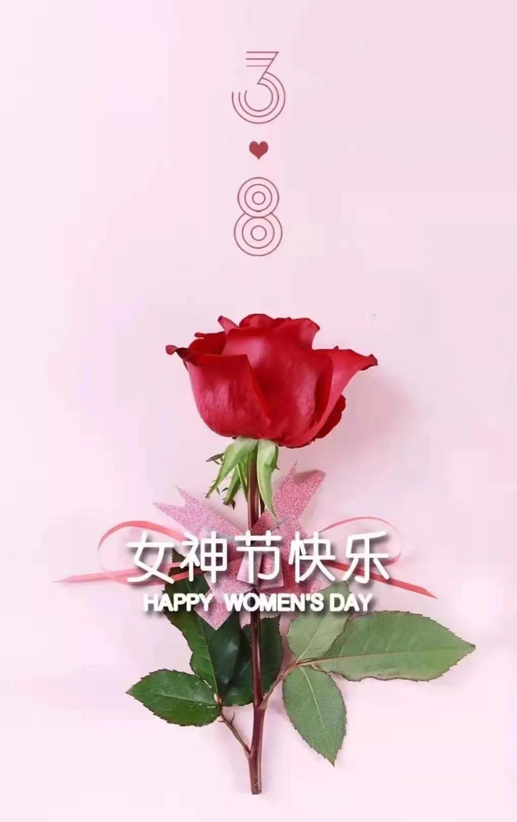 妇女节诗句精选简短（赞美巾帼女性的诗词）