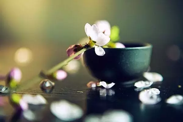 关于茶的诗有哪些（茶文化唯美诗词）