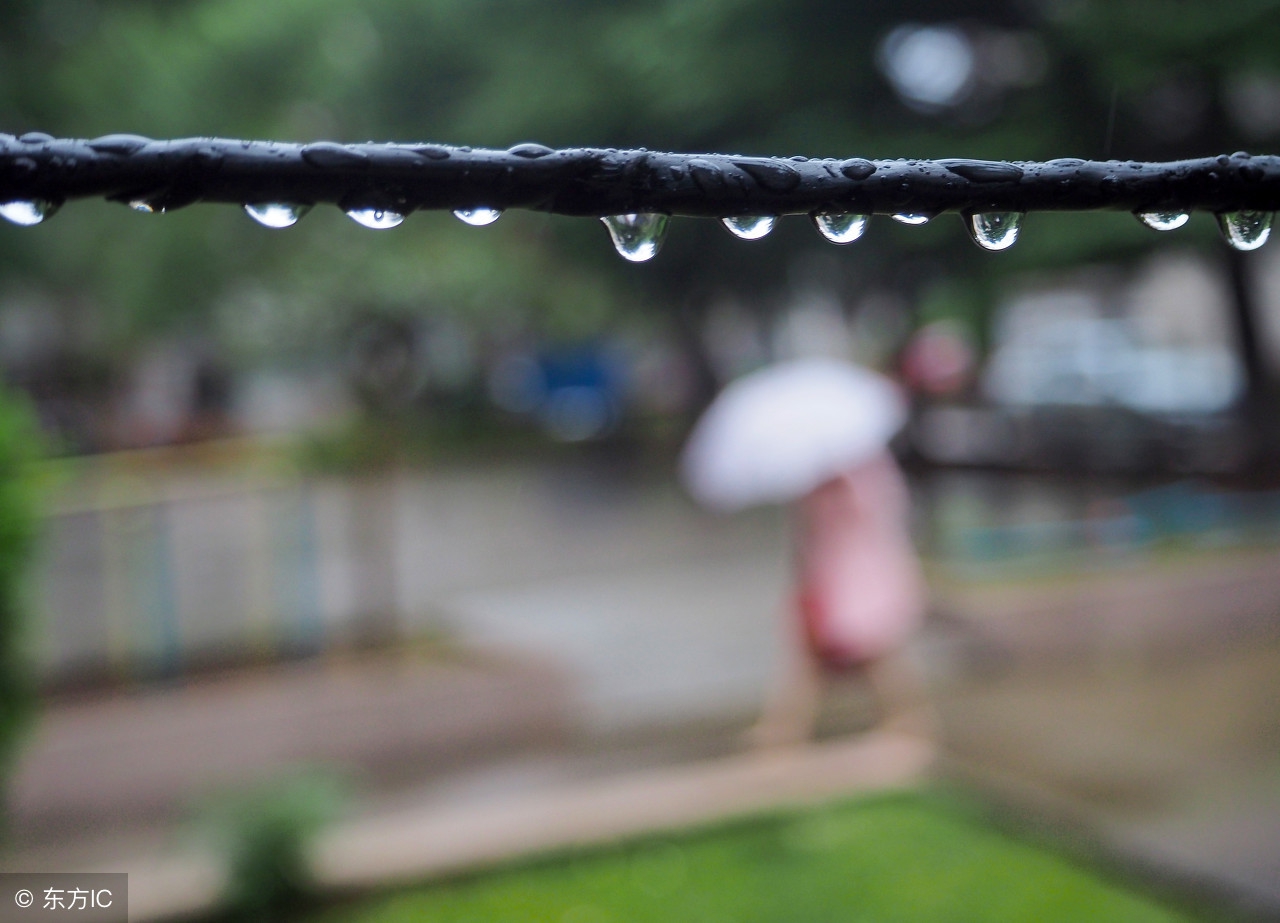 初春小雨古诗译文（初春小雨全文解析）