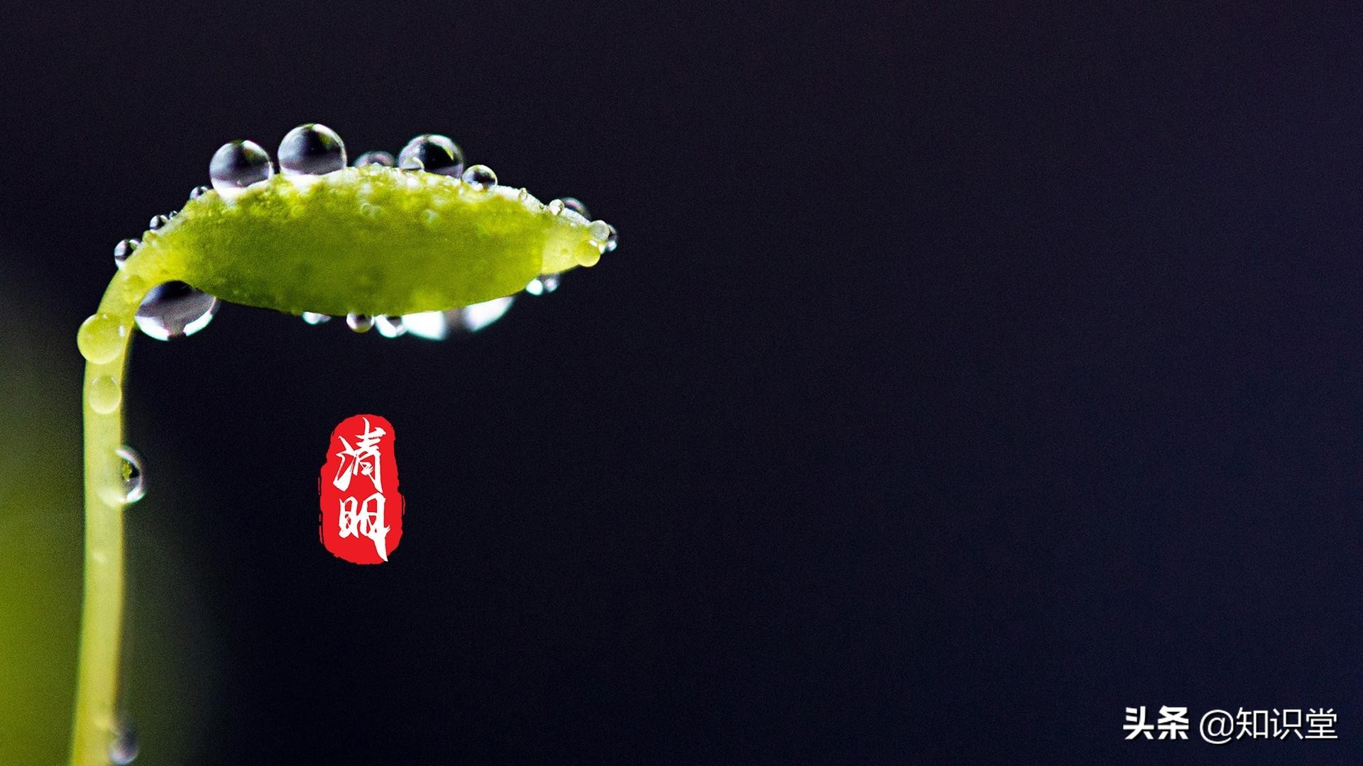 清明节祭祀的心情句子（关于清明悲伤的心情说说）