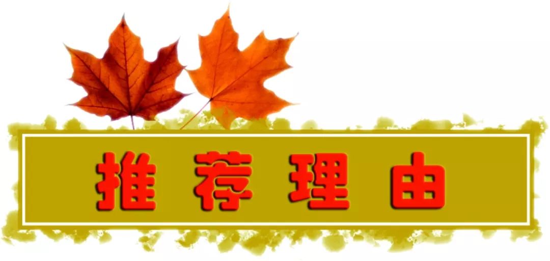 书籍点亮人生作文怎么写（高考满分优秀作文）