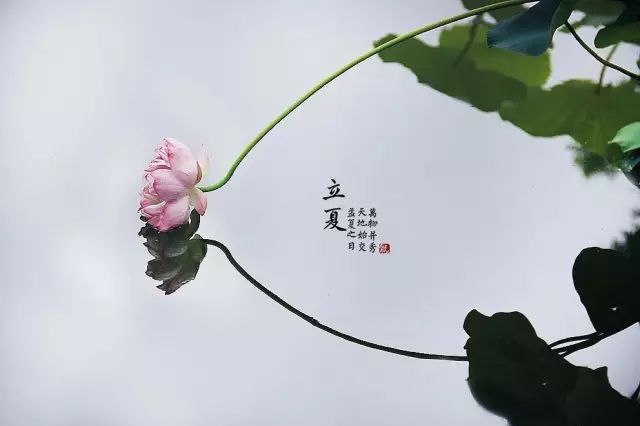 关于立夏节气的诗句（二十四节气对应的诗句）