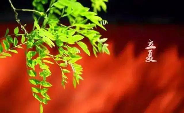 关于立夏节气的诗句（二十四节气对应的诗句）