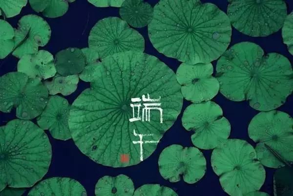端午优美诗句大全（端午节的句子美句）
