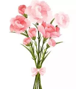 十三岁的际遇原文内容（十三岁的际遇原文特点赏析）