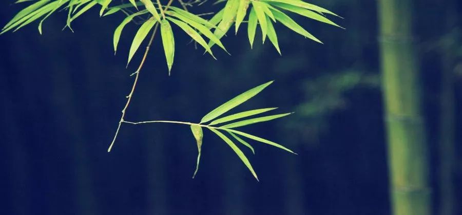 御街行范仲淹翻译及欣赏（御街行的主旨是什么）