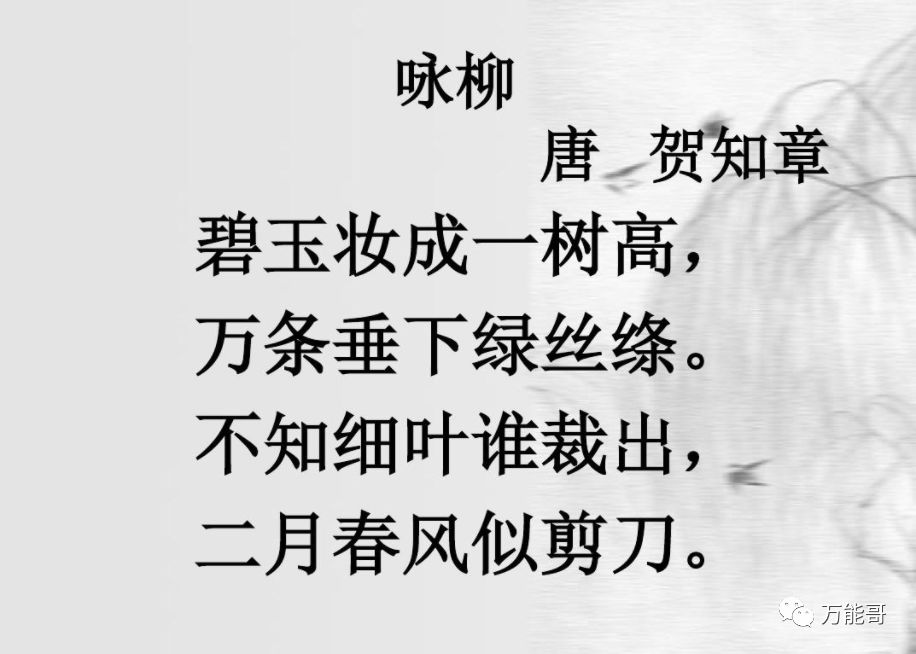 咏柳古诗的意思翻译简单（咏柳全文的意思是什么）