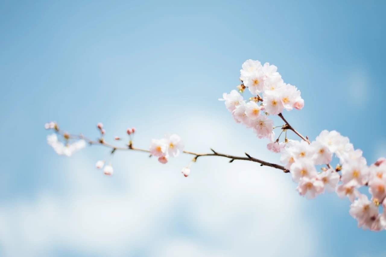 中华经典古诗词大全（中国最著名古诗词 ）