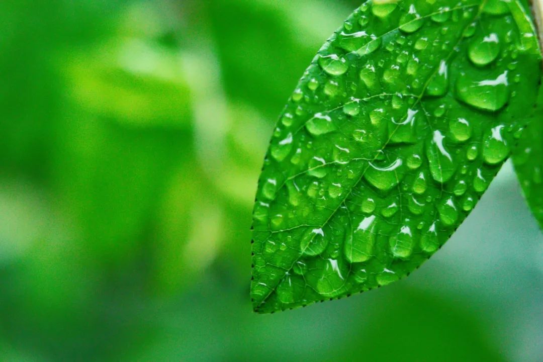 写雨的诗歌有哪些（寄雨思情的20首古诗）
